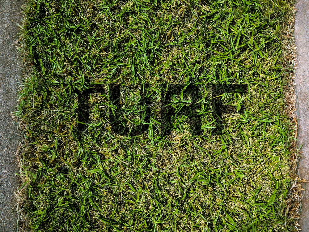 Turf Texture Project